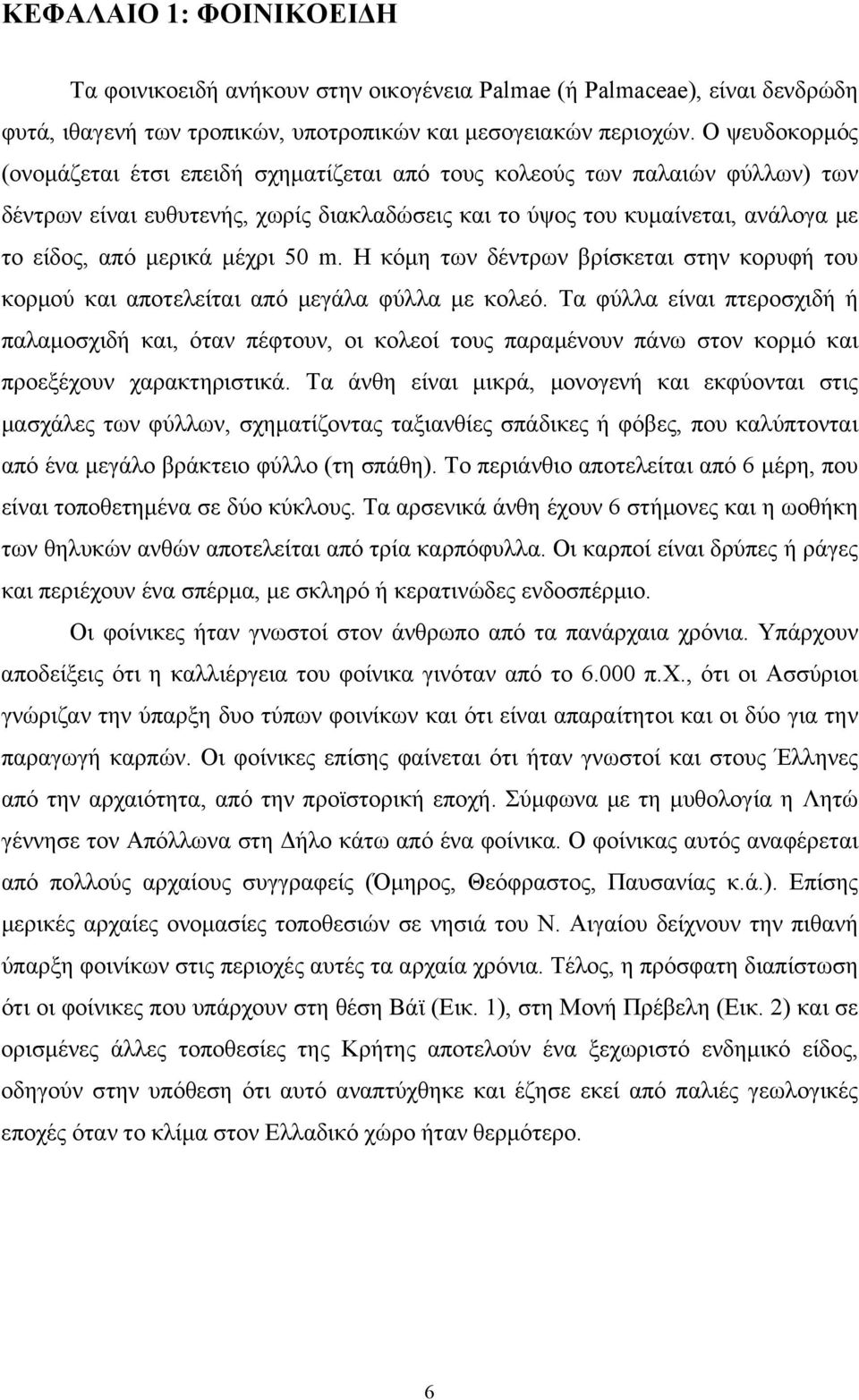 μέχρι 50 m. Η κόμη των δέντρων βρίσκεται στην κορυφή του κορμού και αποτελείται από μεγάλα φύλλα με κολεό.