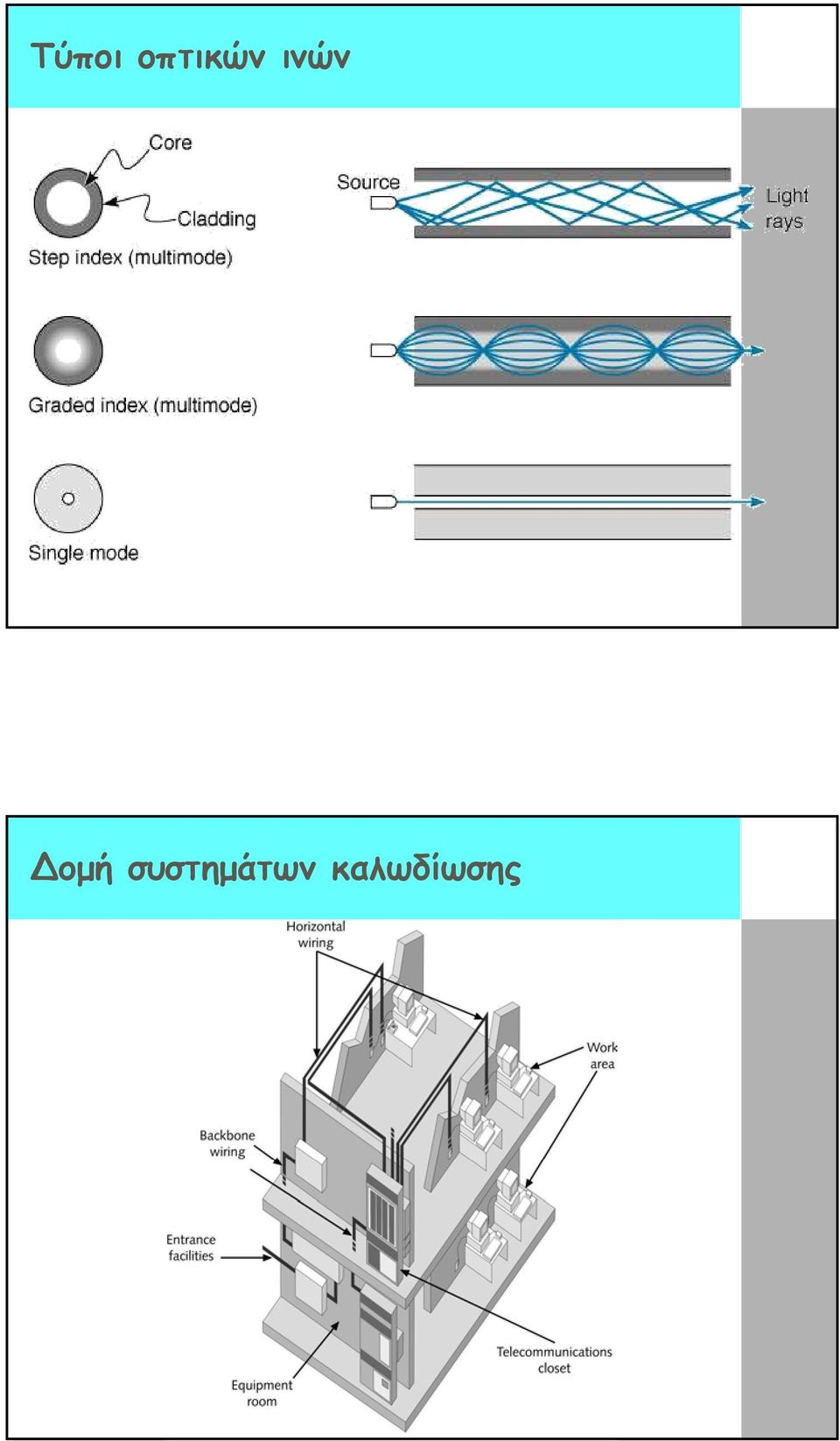 ινών οµή