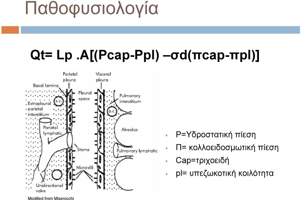 P=Υδροστατική πίεση Π= κολλοειδοσµωτική