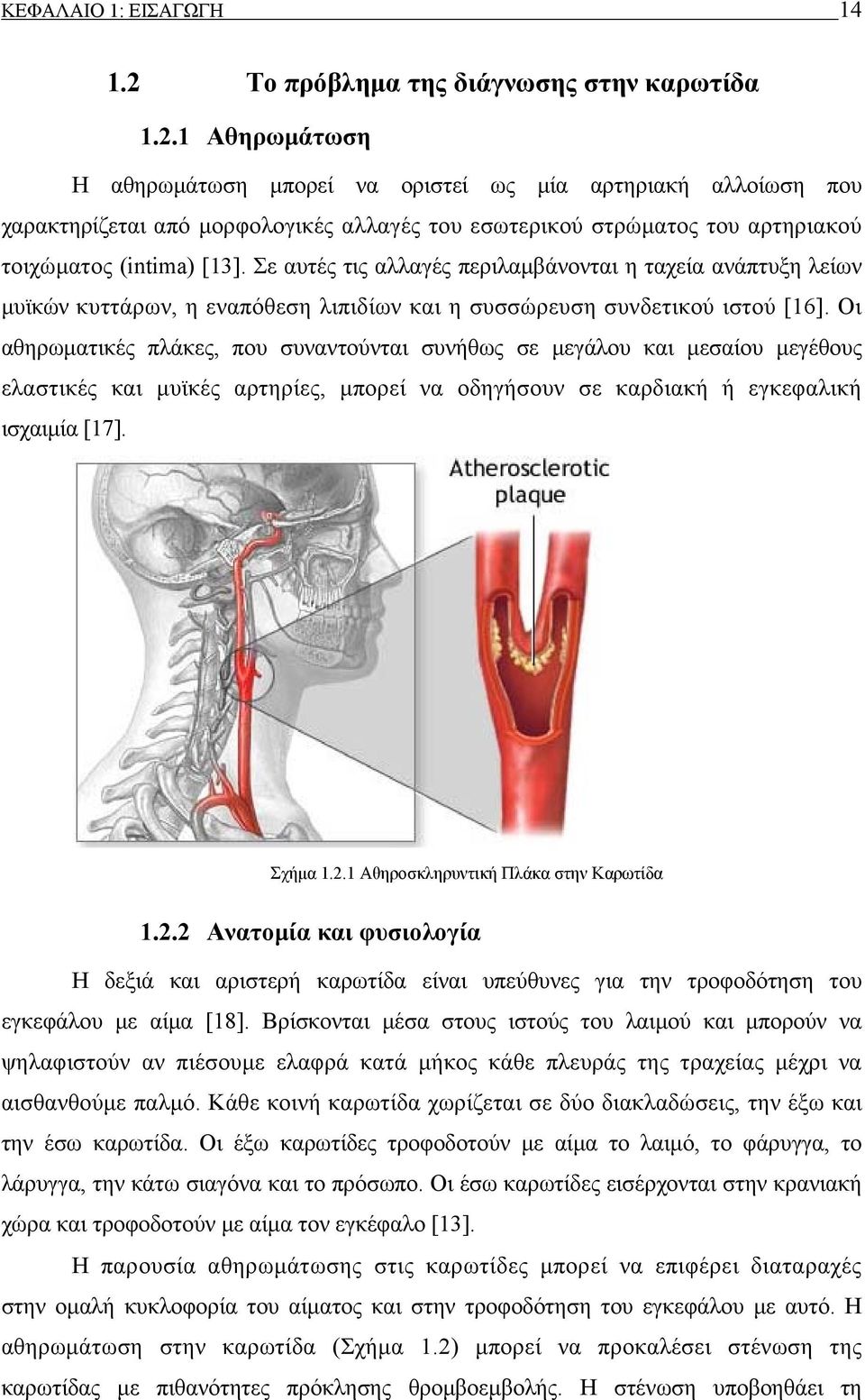 Σε αυτές τις αλλαγές περιλαμβάνονται η ταχεία ανάπτυξη λείων μυϊκών κυττάρων, η εναπόθεση λιπιδίων και η συσσώρευση συνδετικού ιστού [16].