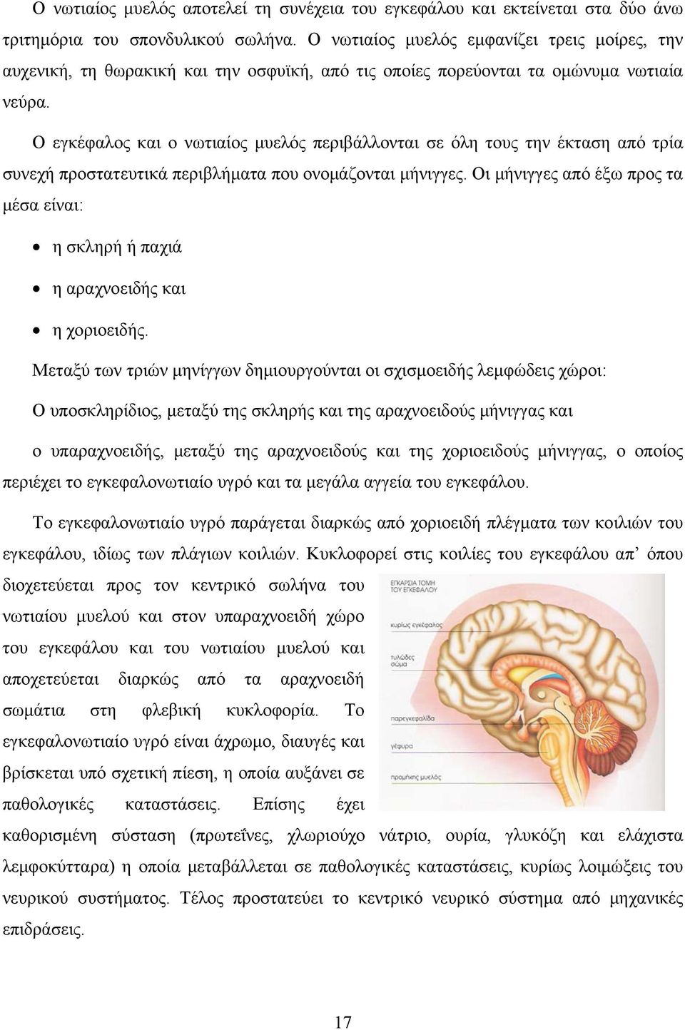 Ο εγκέφαλος και ο νωτιαίος μυελός περιβάλλονται σε όλη τους την έκταση από τρία συνεχή προστατευτικά περιβλήματα που ονομάζονται μήνιγγες.
