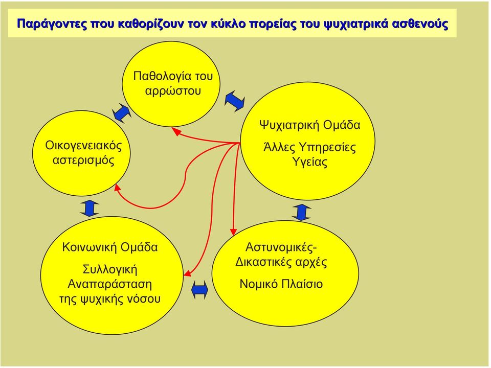 Ψυχιατρική Οµάδα Άλλες Υπηρεσίες Υγείας Κοινωνική Οµάδα