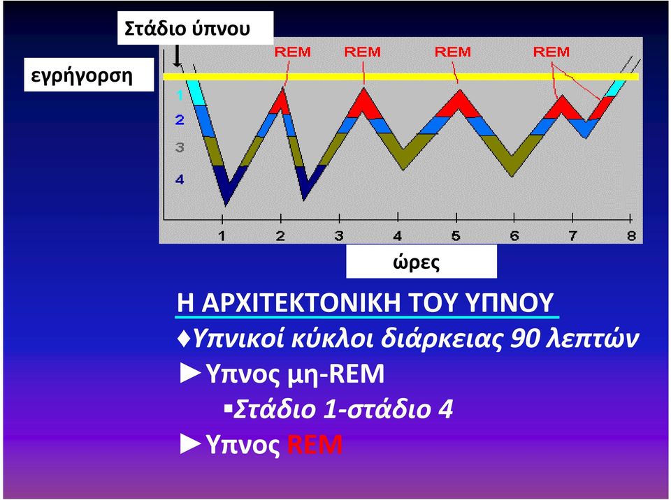 κύκλοι διάρκειας 90 λεπτών