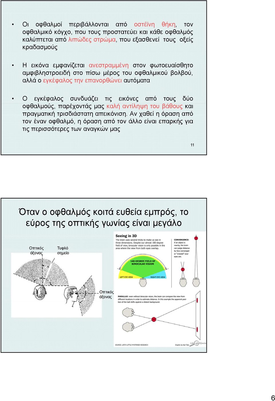 συνδυάζει τις εικόνες από τους δύο οφθαλμούς, παρέχοντάς μας καλή αντίληψη του βάθους και πραγματική τρισδιάστατη απεικόνιση.