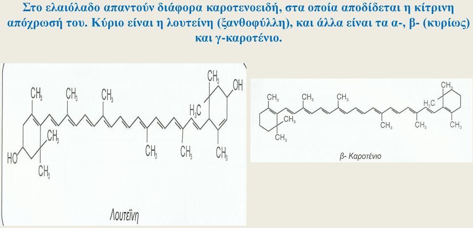 Κύριο είναι η λουτείνη (ξανθοφύλλη), και