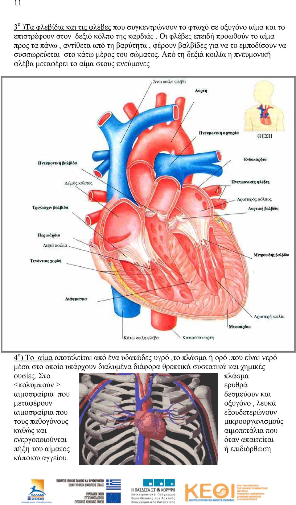 Από τη δεξιά κοιλία η πνευμονική φλέβα μεταφέρει το αίμα στους πνεύμονες 4 ο ) Το αίμα αποτελείται από ένα υδατώδες υγρό,το πλάσμα ή ορό,που είναι νερό μέσα στο οποίο υπάρχουν διαλυμένα