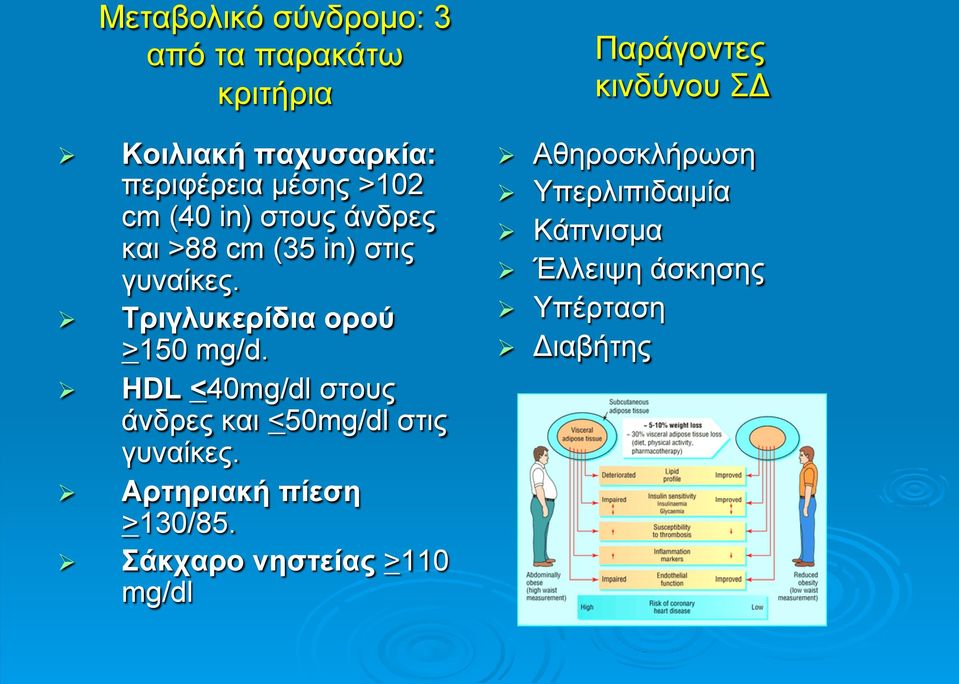 HDL <40mg/dl στους άνδρες και <50mg/dl στις γυναίκες. Αρτηριακή πίεση >130/85.