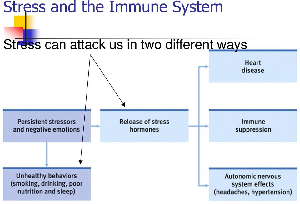 Stress can attack