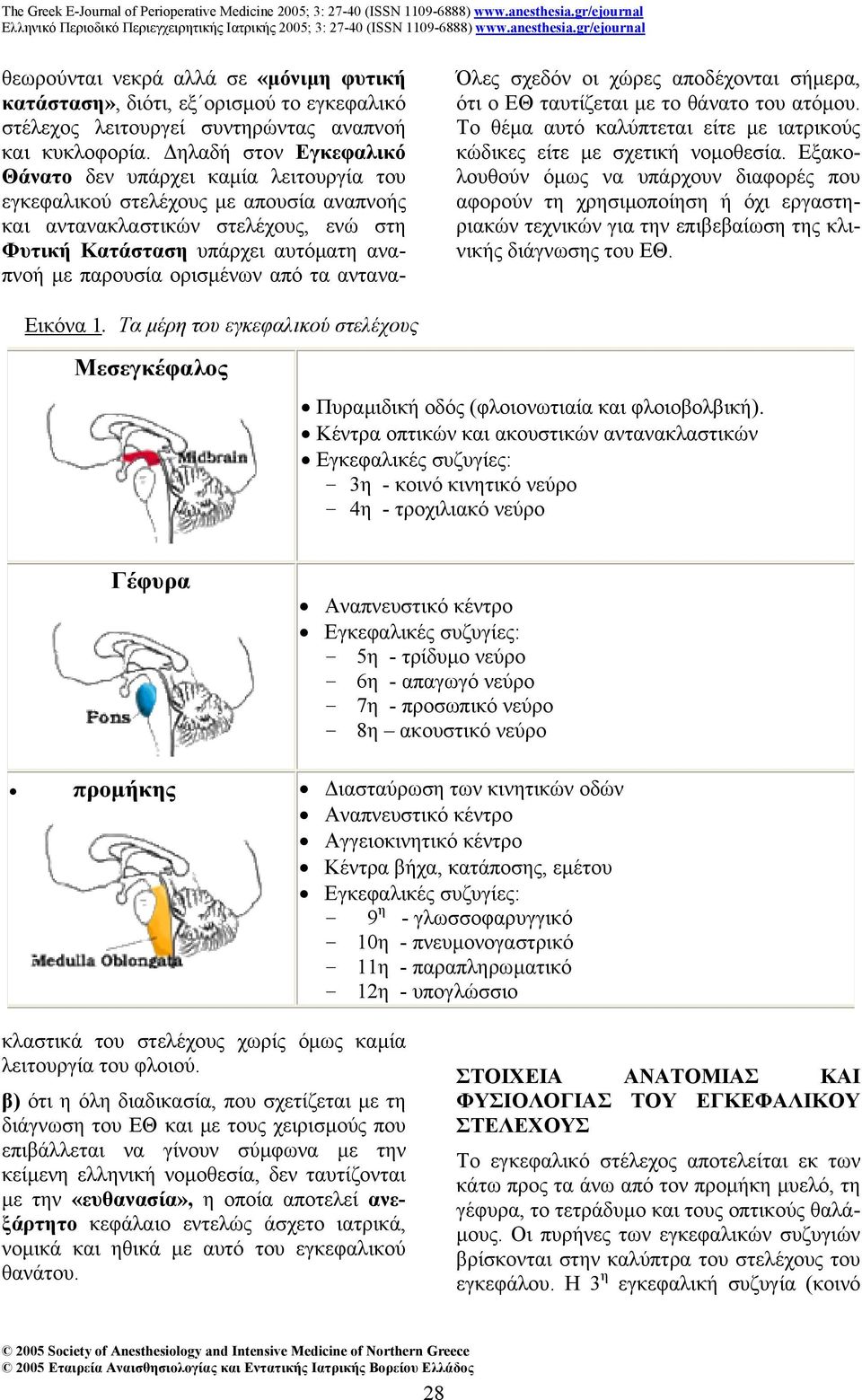 Τα µέρη του εγκεφαλικού στελέχους Μεσεγκέφαλος Πυραµιδική οδός (φλοιονωτιαία και φλοιοβολβική).