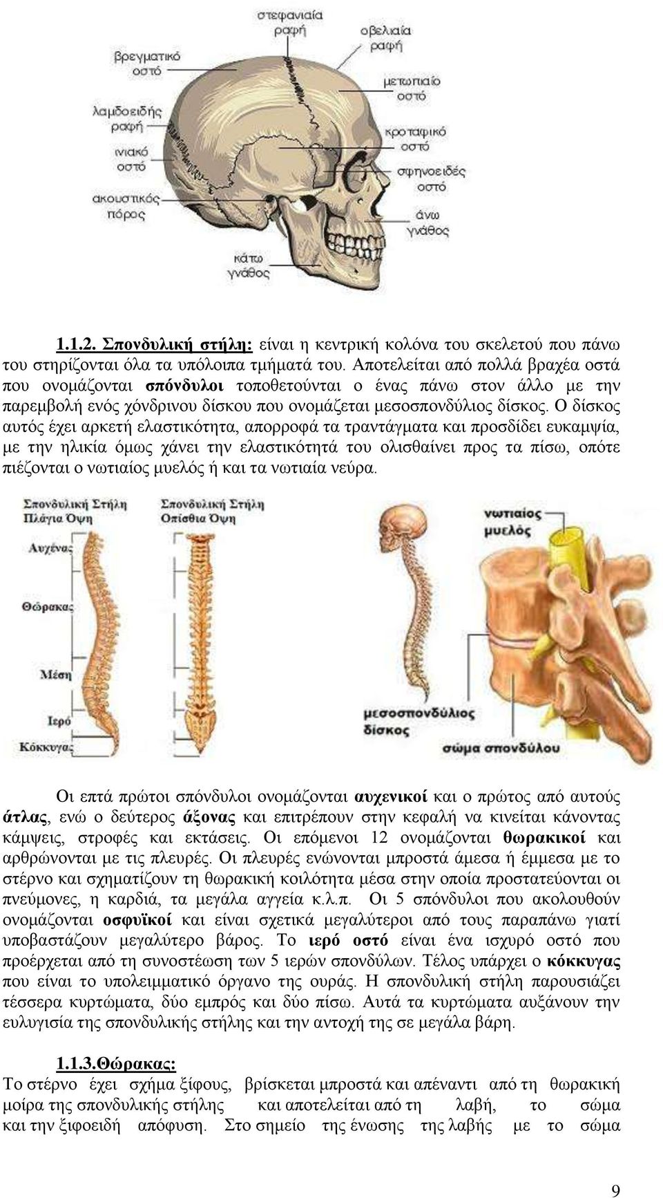 Ο δίσκος αυτός έχει αρκετή ελαστικότητα, απορροφά τα τραντάγματα και προσδίδει ευκαμψία, με την ηλικία όμως χάνει την ελαστικότητά του ολισθαίνει προς τα πίσω, οπότε πιέζονται ο νωτιαίος μυελός ή και