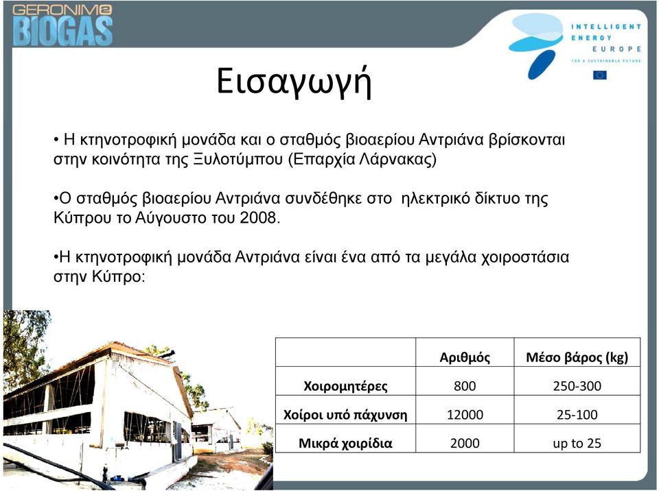 το Αύγουστο του 2008.