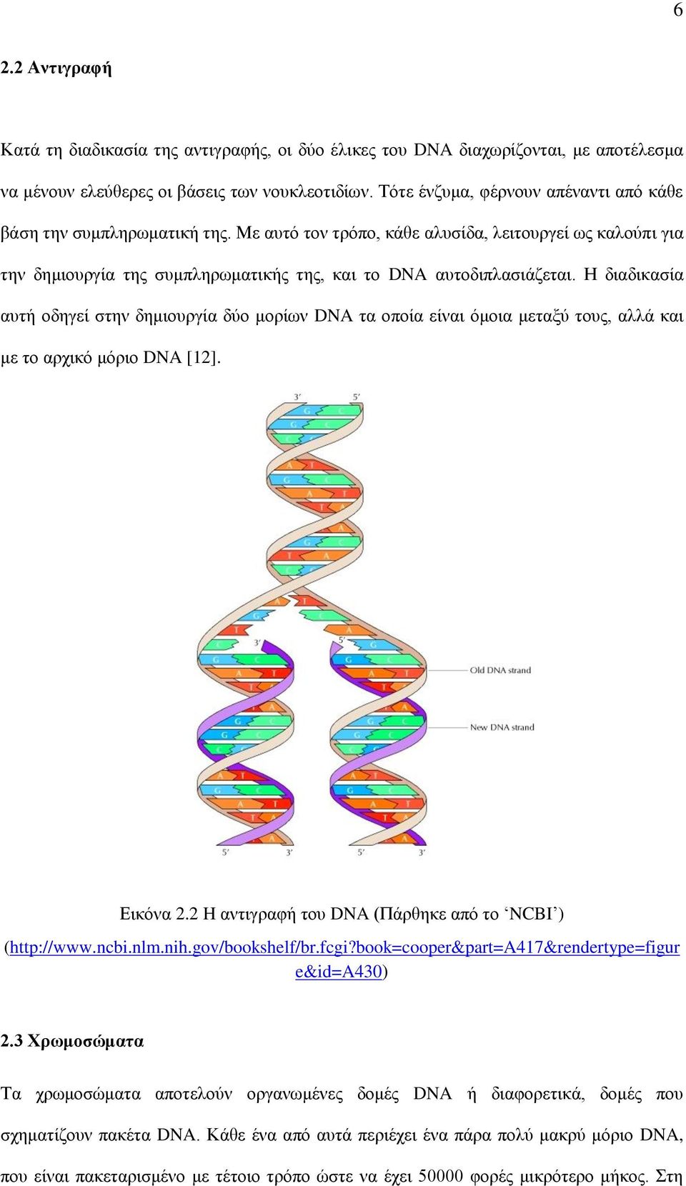 Η διαδικασία αυτή οδηγεί στην δημιουργία δύο μορίων DNA τα οποία είναι όμοια μεταξύ τους, αλλά και με το αρχικό μόριο DNA [12]. Εικόνα 2.2 H αντιγραφή του DNA (Πάρθηκε από το NCBI ) (http://www.ncbi.