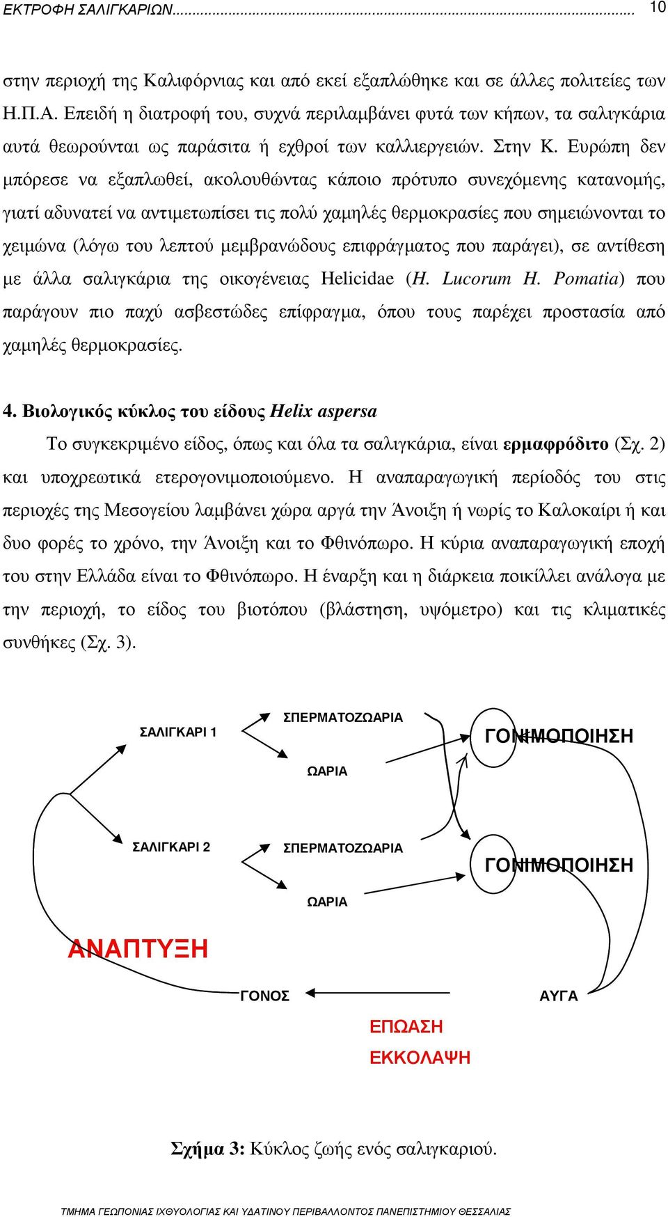 Ευρώπη δεν µπόρεσε να εξαπλωθεί, ακολουθώντας κάποιο πρότυπο συνεχόµενης κατανοµής, γιατί αδυνατεί να αντιµετωπίσει τις πολύ χαµηλές θερµοκρασίες που σηµειώνονται το χειµώνα (λόγω του λεπτού