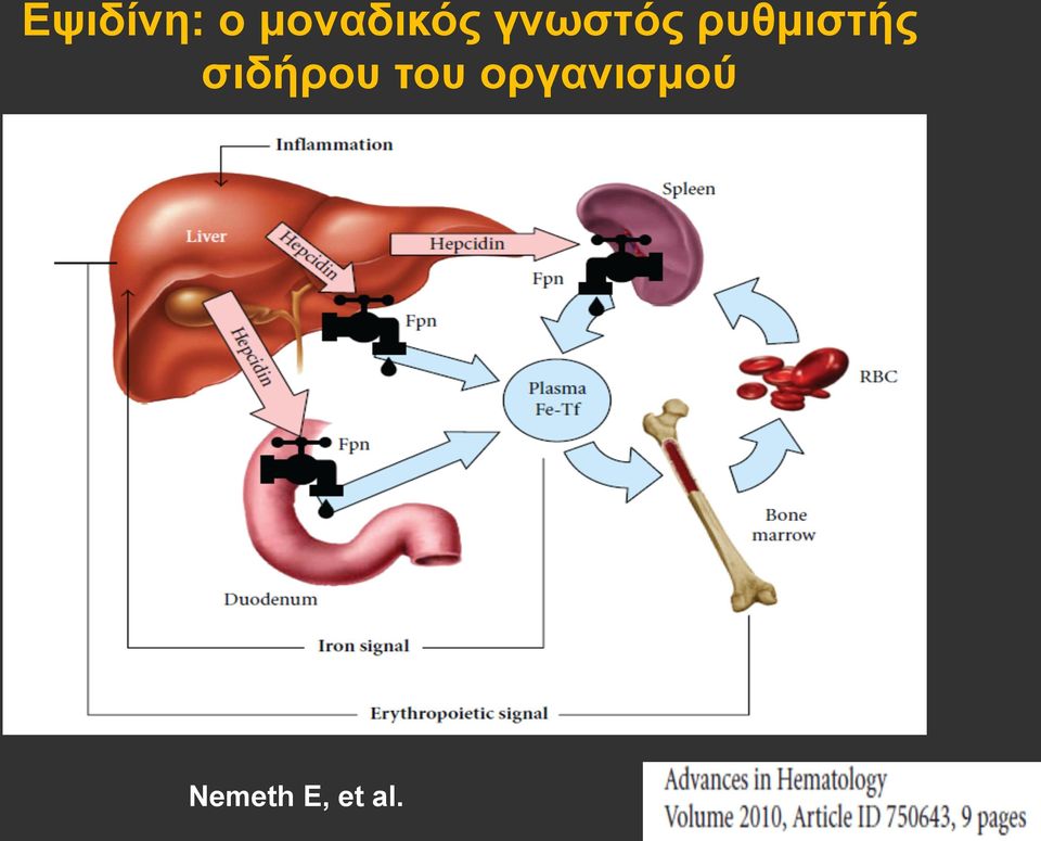 ρυθµιστής σιδήρου