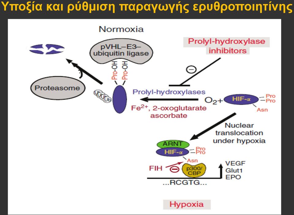 παραγωγής