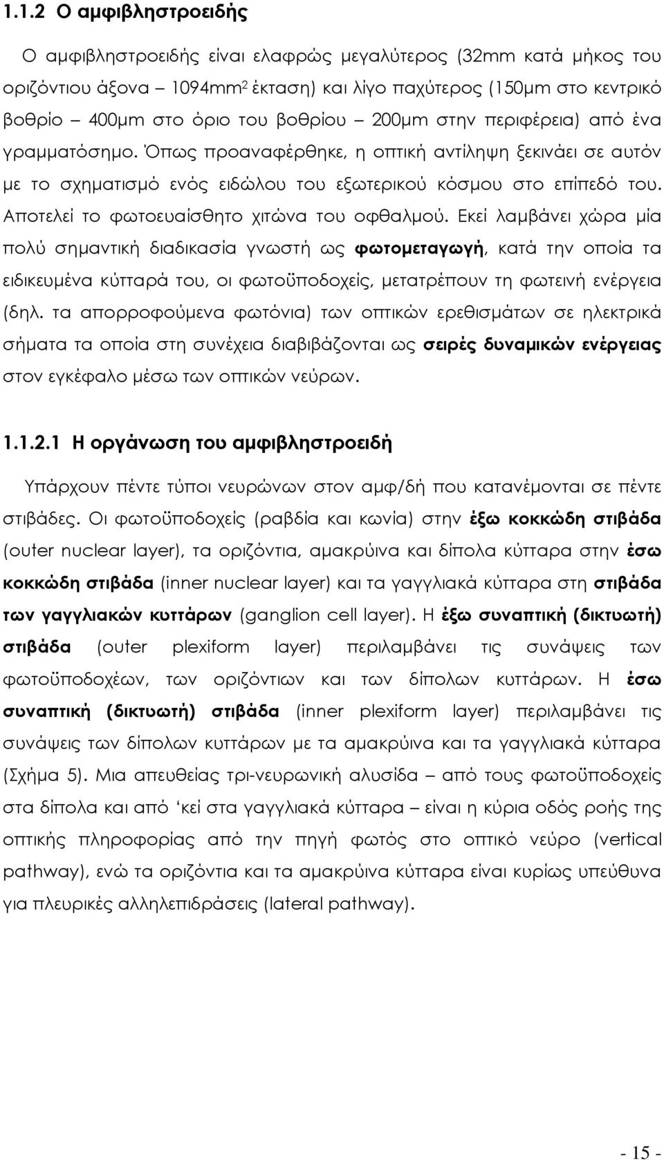 Αποτελεί το φωτοευαίσθητο χιτώνα του οφθαλμού.