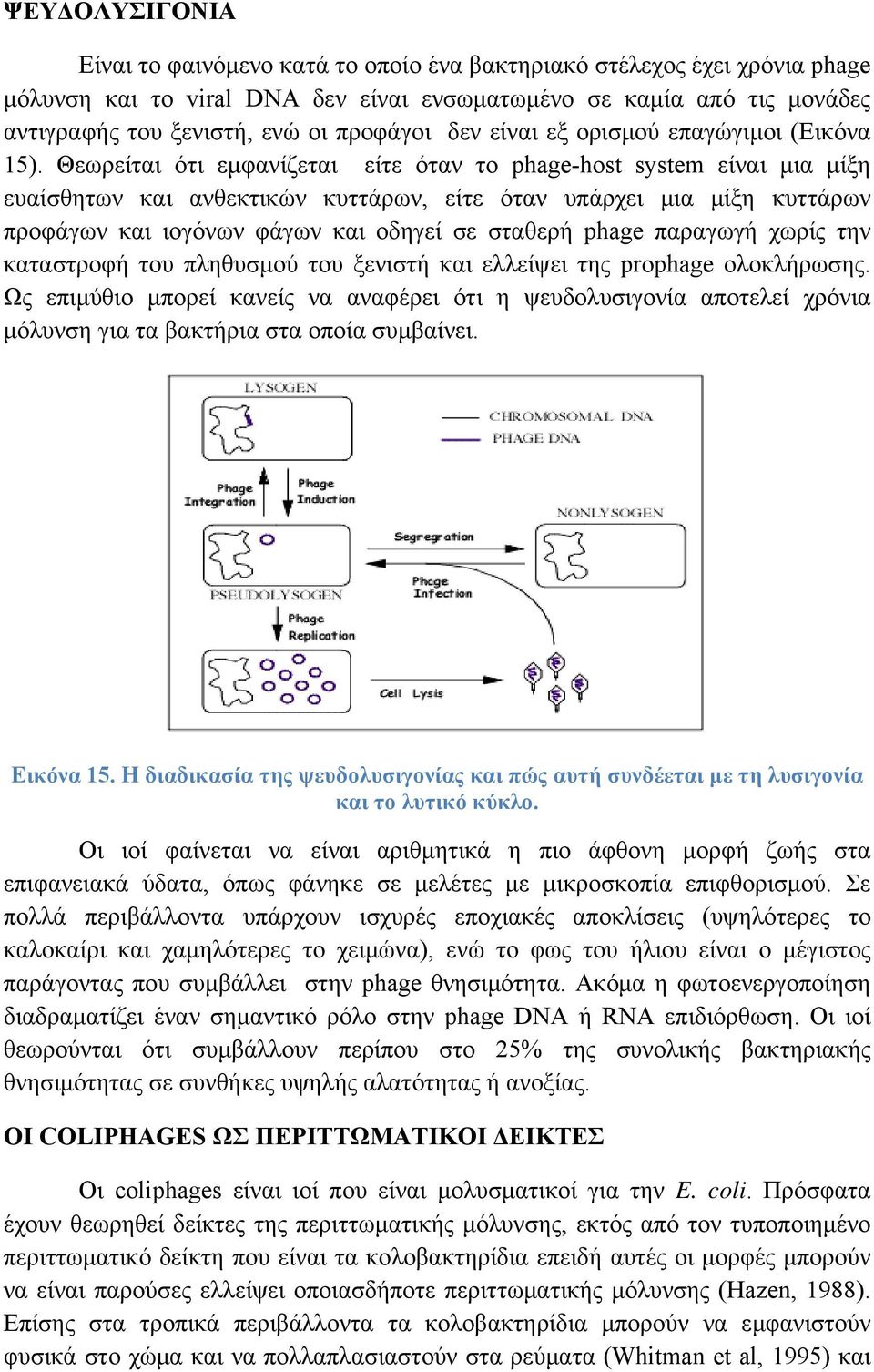 Θεωρείται ότι εμφανίζεται είτε όταν το phage-host system είναι μια μίξη ευαίσθητων και ανθεκτικών κυττάρων, είτε όταν υπάρχει μια μίξη κυττάρων προφάγων και ιογόνων φάγων και οδηγεί σε σταθερή phage