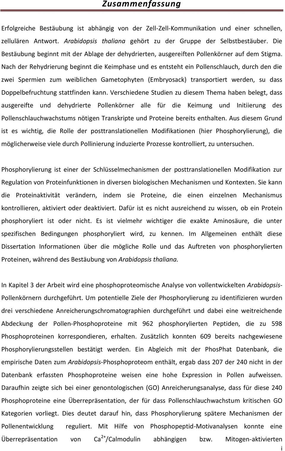 Nach der Rehydrierung beginnt die Keimphase und es entsteht ein Pollenschlauch, durch den die zwei Spermien zum weiblichen Gametophyten (Embryosack) transportiert werden, su dass Doppelbefruchtung