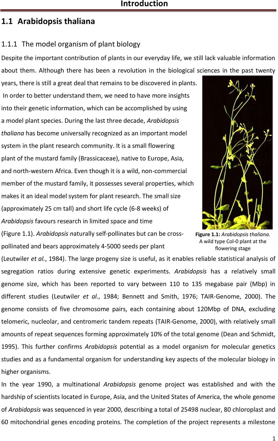 In order to better understand them, we need to have more insights into their genetic information, which can be accomplished by using a model plant species.