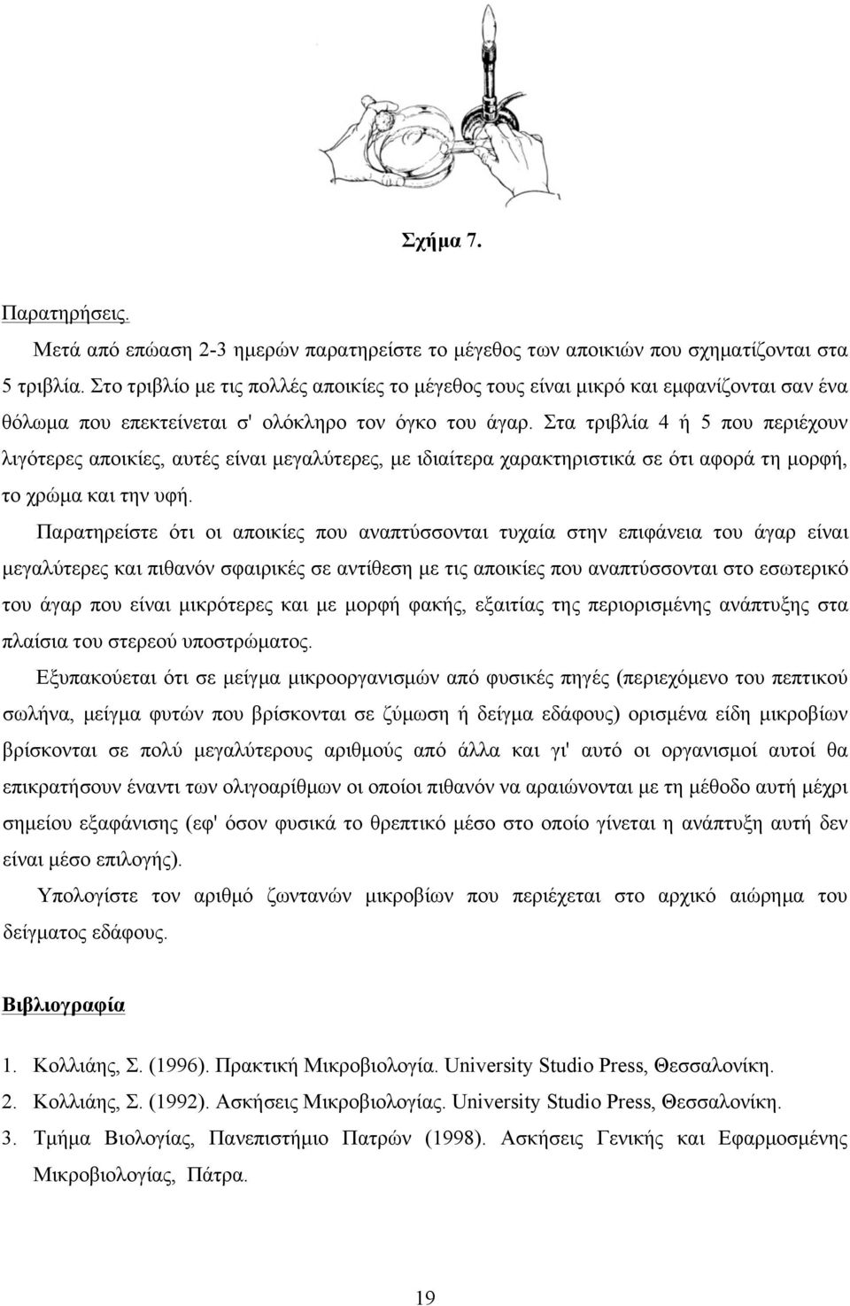 Στα τριβλία 4 ή 5 που περιέχουν λιγότερες αποικίες, αυτές είναι µεγαλύτερες, µε ιδιαίτερα χαρακτηριστικά σε ότι αφορά τη µορφή, το χρώµα και την υφή.