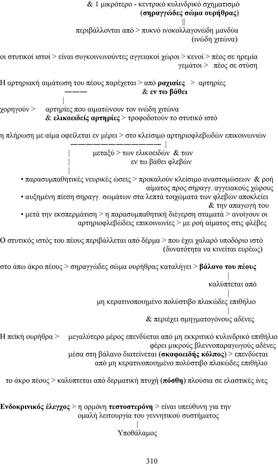 αρτηρίες > τροφοδοτούν το στυτικό ιστό η πλήρωση µε αίµα οφείλεται εν µέρει > στο κλείσιµο αρτηριοφλεβωδών επικοινωνιών µεταξύ > των ελικοειδών & των εν τω βάθει φλεβών παρασυµπαθητικές νευρικές