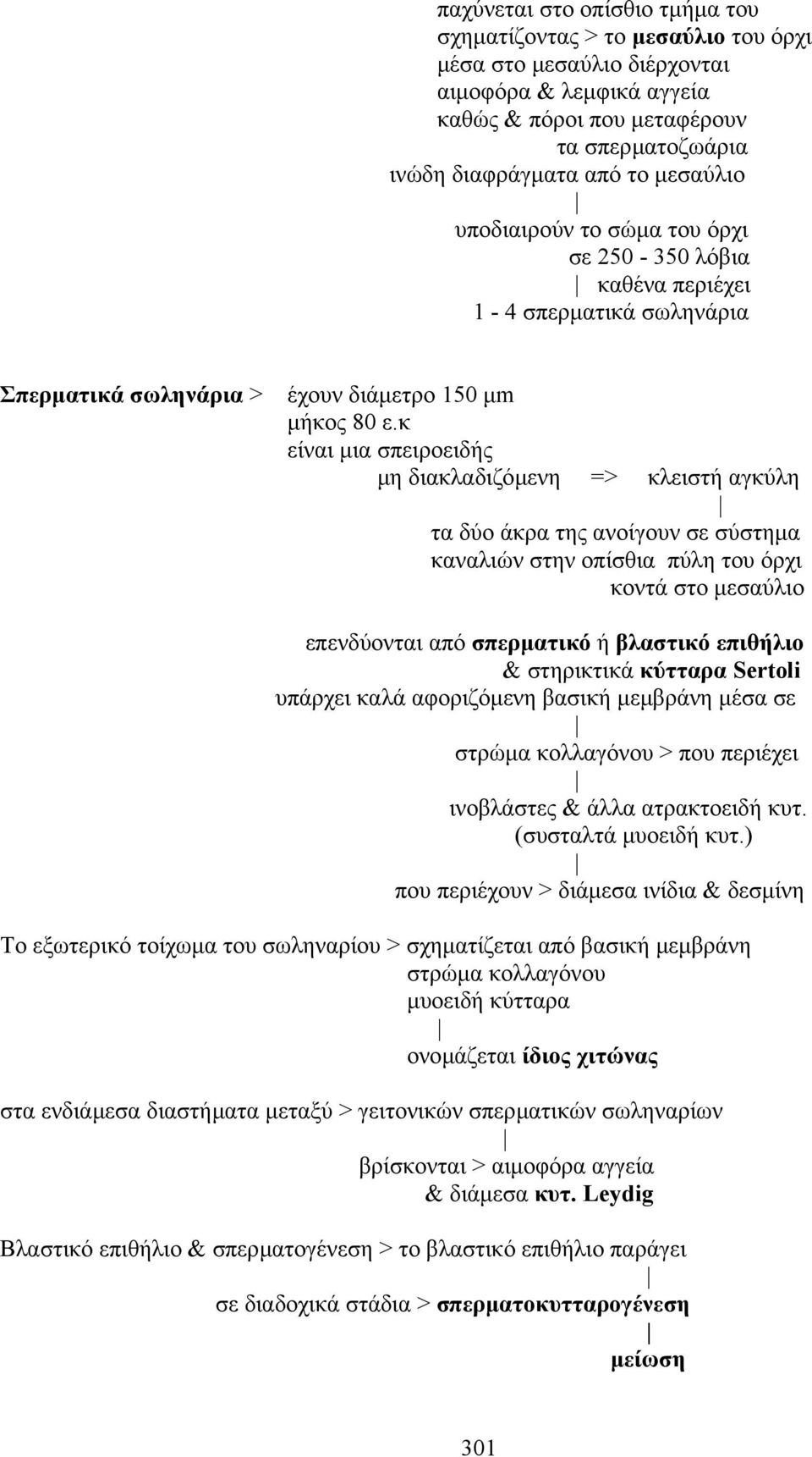 κ είναι µια σπειροειδής µη διακλαδιζόµενη => κλειστή αγκύλη τα δύο άκρα της ανοίγουν σε σύστηµα καναλιών στην οπίσθια πύλη του όρχι κοντά στο µεσαύλιο επενδύονται από σπερµατικό ή βλαστικό επιθήλιο &