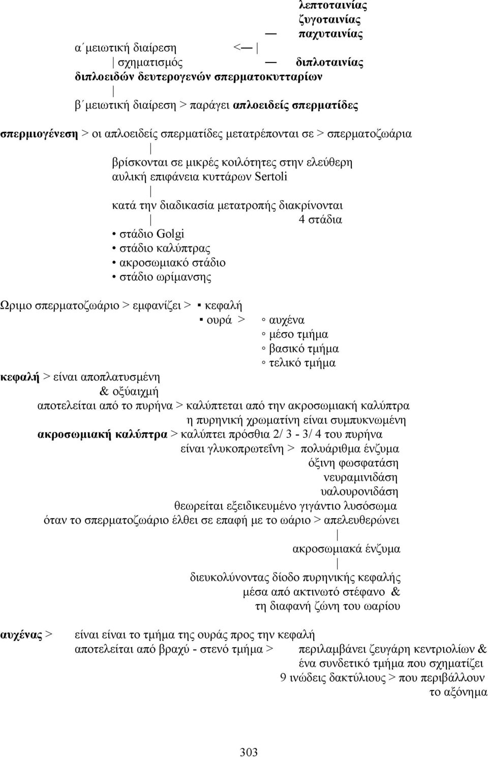 Golgi στάδιο καλύπτρας ακροσωµιακό στάδιο στάδιο ωρίµανσης Ωριµο σπερµατοζωάριο > εµφανίζει > κεφαλή ουρά > αυχένα µέσο τµήµα βασικό τµήµα τελικό τµήµα κεφαλή > είναι αποπλατυσµένη & οξύαιχµή