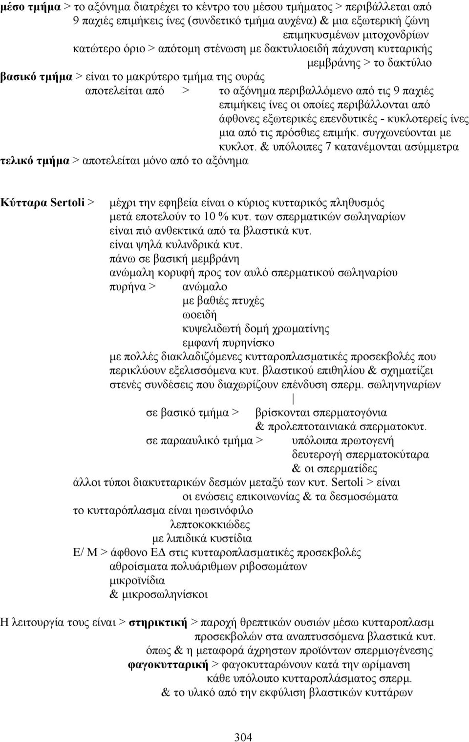 οι οποίες περιβάλλονται από άφθονες εξωτερικές επενδυτικές - κυκλοτερείς ίνες µια από τις πρόσθιες επιµήκ. συγχωνεύονται µε κυκλοτ.