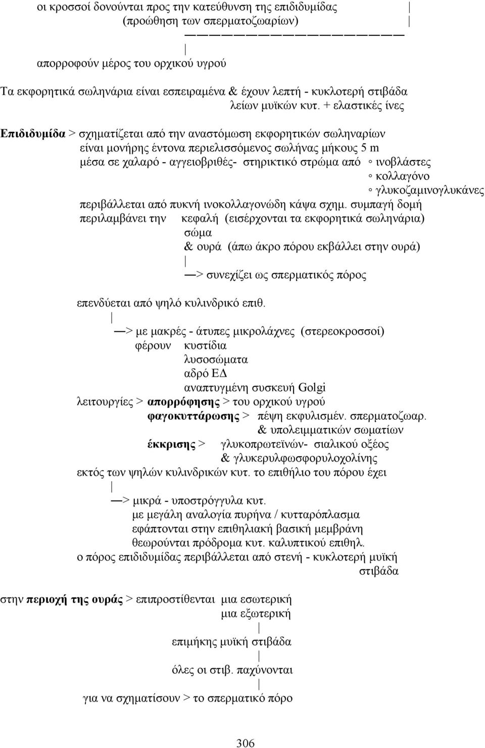 + ελαστικές ίνες Eπιδιδυµίδα > σχηµατίζεται από την αναστόµωση εκφορητικών σωληναρίων είναι µονήρης έντονα περιελισσόµενος σωλήνας µήκους 5 m µέσα σε χαλαρό - αγγειοβριθές- στηρικτικό στρώµα από