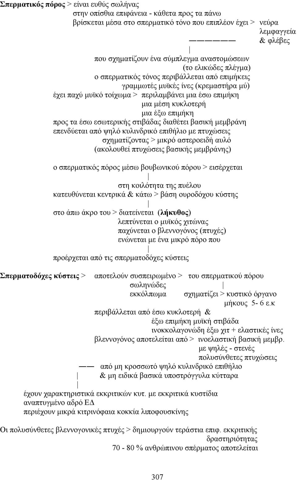 έξω επιµήκη προς τα έσω εσωτερικής στιβάδας διαθέτει βασική µεµβράνη επενδύεται από ψηλό κυλινδρικό επιθήλιο µε πτυχώσεις σχηµατίζοντας > µικρό αστεροειδή αυλό (ακολουθεί πτυχώσεις βασικής µεµβράνης)