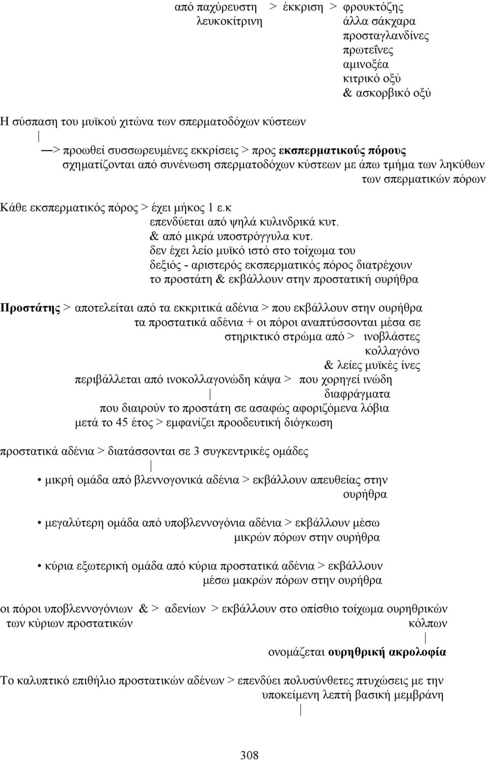 κ επενδύεται από ψηλά κυλινδρικά κυτ. & από µικρά υποστρόγγυλα κυτ.