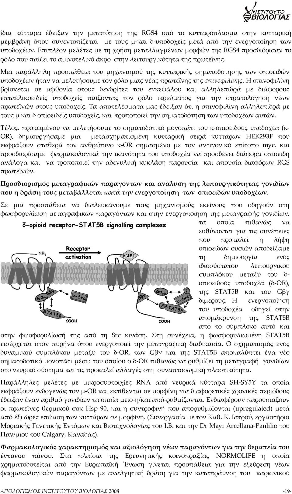 Μια παράλληλη προσπάθεια του μηχανισμού της κυτταρικής σηματοδότησης των οπιοειδών υποδοχέων ήταν να μελετήσουμε τον ρόλο μιας νέας πρωτεΐνης της σπινοφιλίνης.