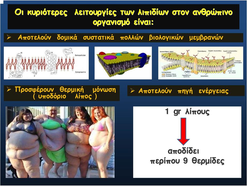 βιολογικών μεμβρανών Προσφέρουν θερμική μόνωση ( υποδόριο