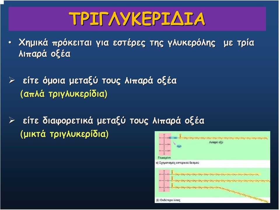 τους λιπαρά οξέα (απλά τριγλυκερίδια) είτε