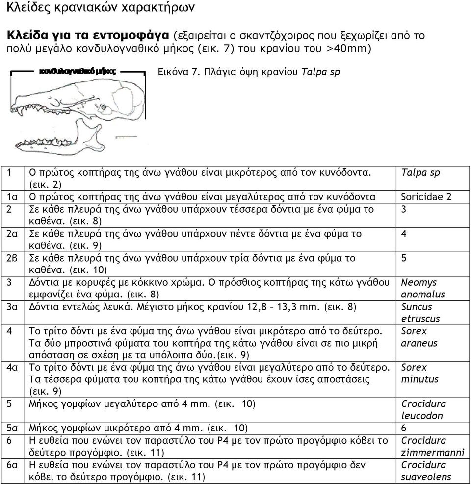 2) 1α Ο πρώτος κοπτήρας της άνω γνάθου είναι μεγαλύτερος από τον κυνόδοντα Soricidae 2 2 Σε κάθε πλευρά της άνω γνάθου υπάρχουν τέσσερα δόντια με ένα φύμα το 3 καθένα. (εικ.