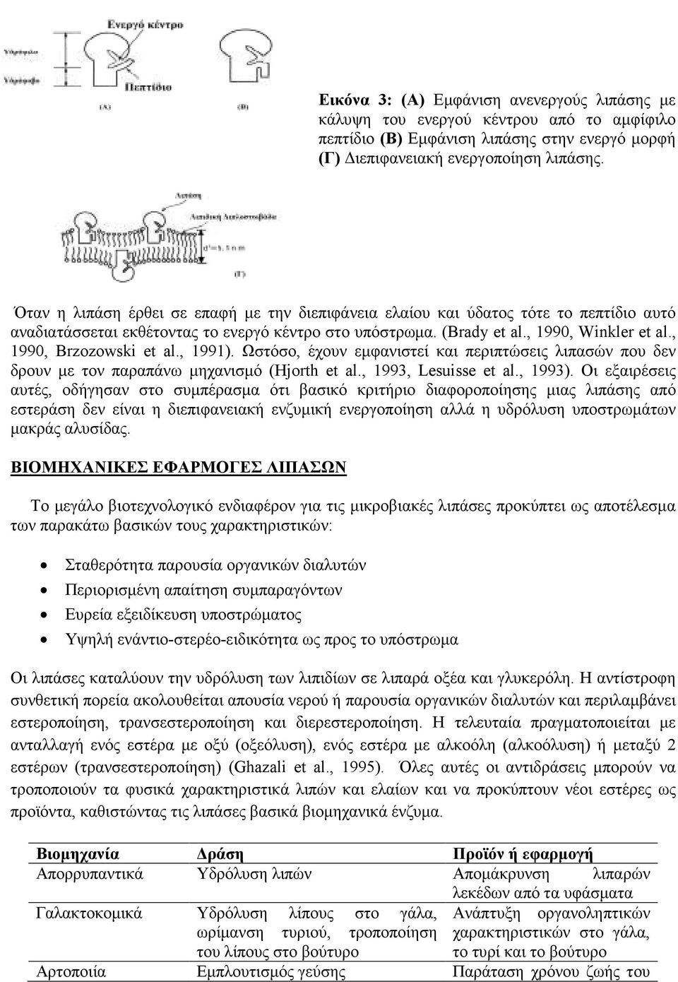 , 1990, Brzozowski et al., 1991). Ωστόσο, έχουν εµφανιστεί και περιπτώσεις λιπασών που δεν δρουν µε τον παραπάνω µηχανισµό (Hjorth et al., 1993, Lesuisse et al., 1993).