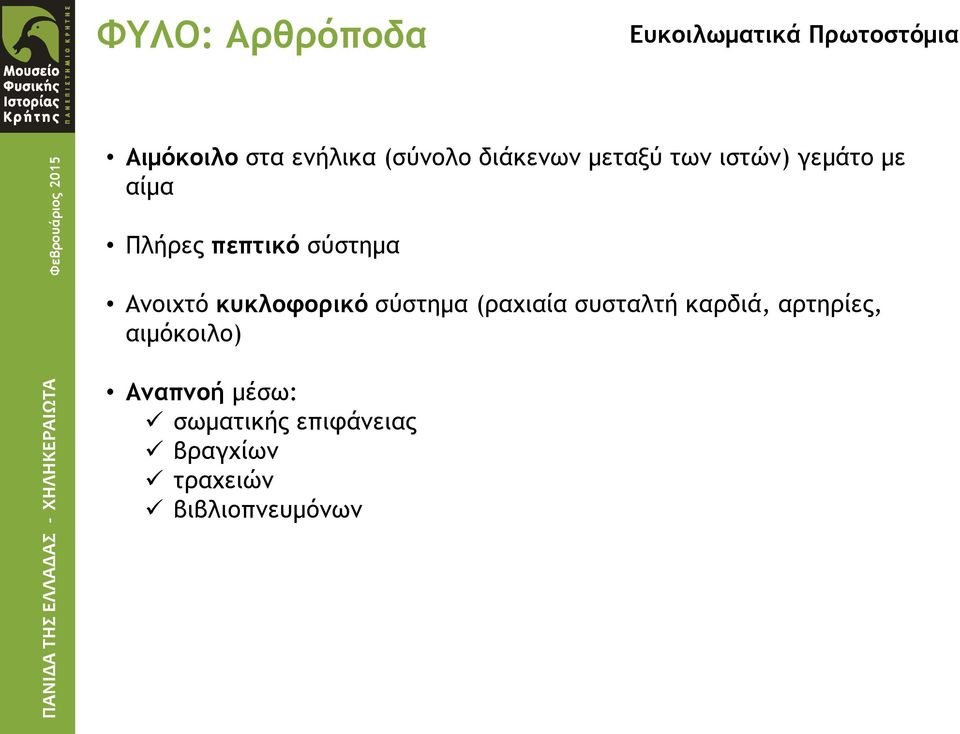 με αίμα Πλήρες πεπτικό σύστημα Ανοιχτό κυκλοφορικό σύστημα (ραχιαία συσταλτή