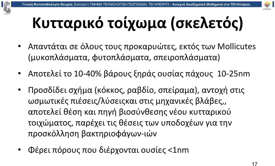 αντοχή στις ωσμωτικές πιέσεις/λύσειςκαι στις μηχανικές βλάβες,, αποτελεί θέση και πηγή βιοσύνθεσης νέου κυτταρικού