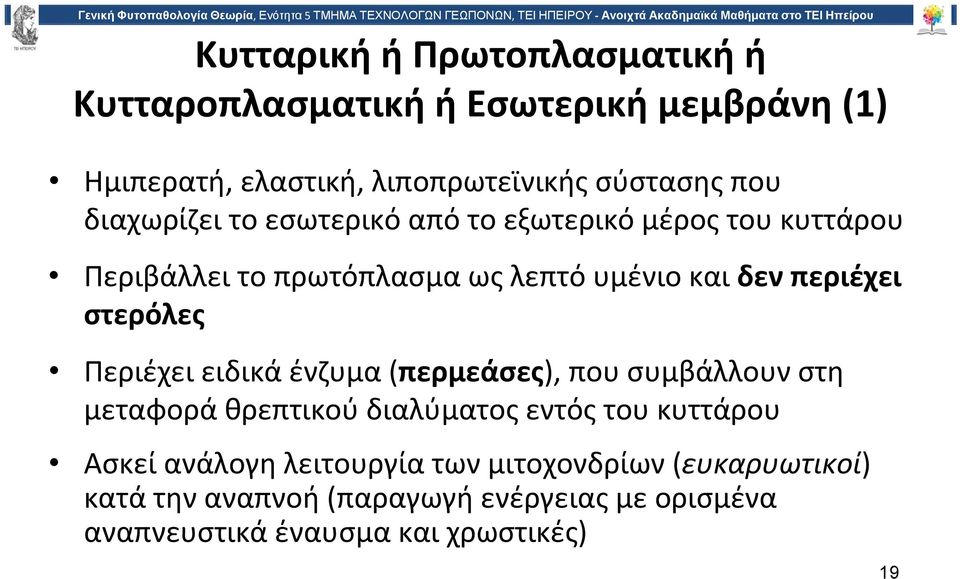 στερόλες Περιέχει ειδικά ένζυμα (περμεάσες), που συμβάλλουν στη μεταφορά θρεπτικού διαλύματος εντός του κυττάρου Ασκεί