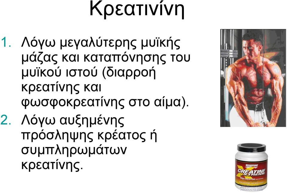 του μυϊκού ιστού (διαρροή κρεατίνης και