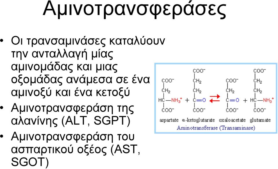 ένα αμινοξύ και ένα κετοξύ Αμινοτρανσφεράση της