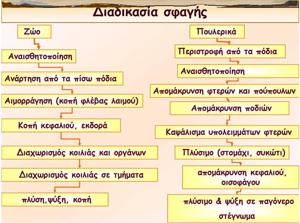 κοπή Περιστροφή από τα πόδια Αναισθητοποίηση Απομάκρυνση φτερών και πούπουλων Απομάκρυνση ποδιών