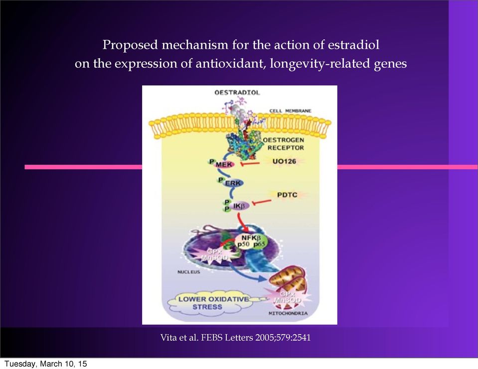 atioxidat, logevity-related gees