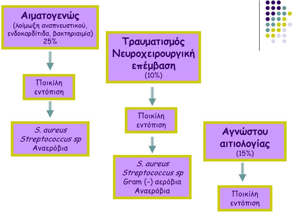 aureus Streptococcus sp Αναερόβια Ποικίλη εντόπιση S.