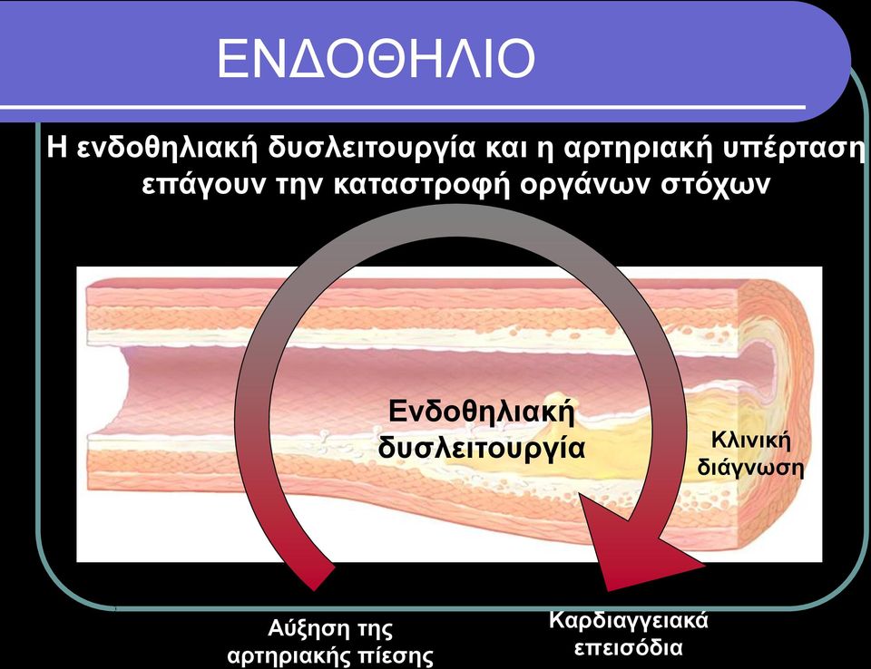 οργάνων στόχων Ενδοθηλιακή δυσλειτουργία Κλινική