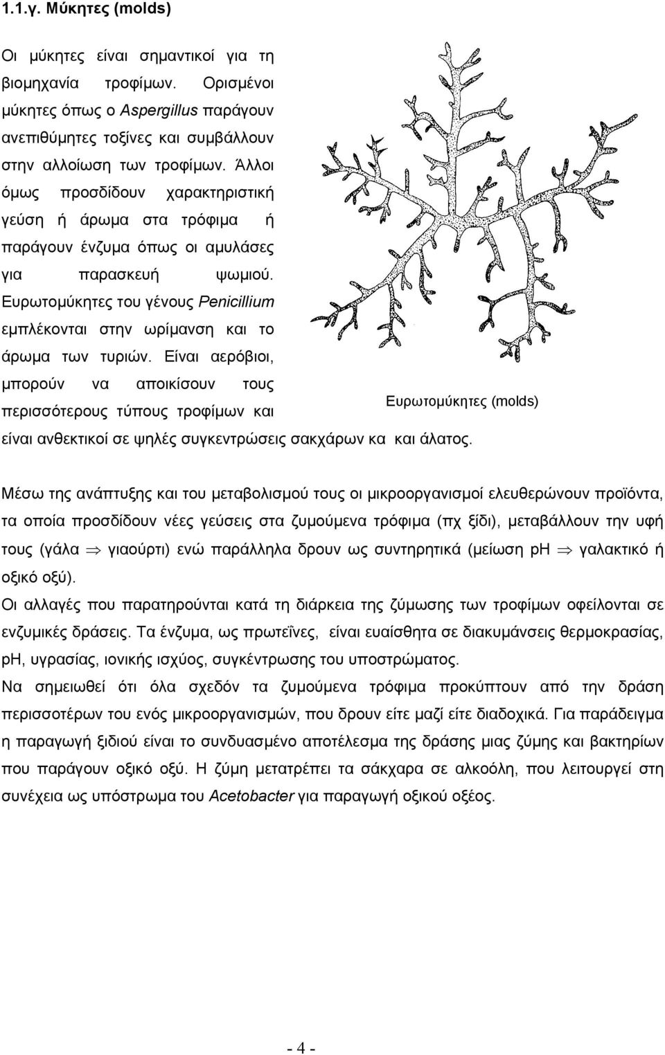 Ευρωτομύκητες του γένους Penicillium εμπλέκονται στην ωρίμανση και το άρωμα των τυριών.