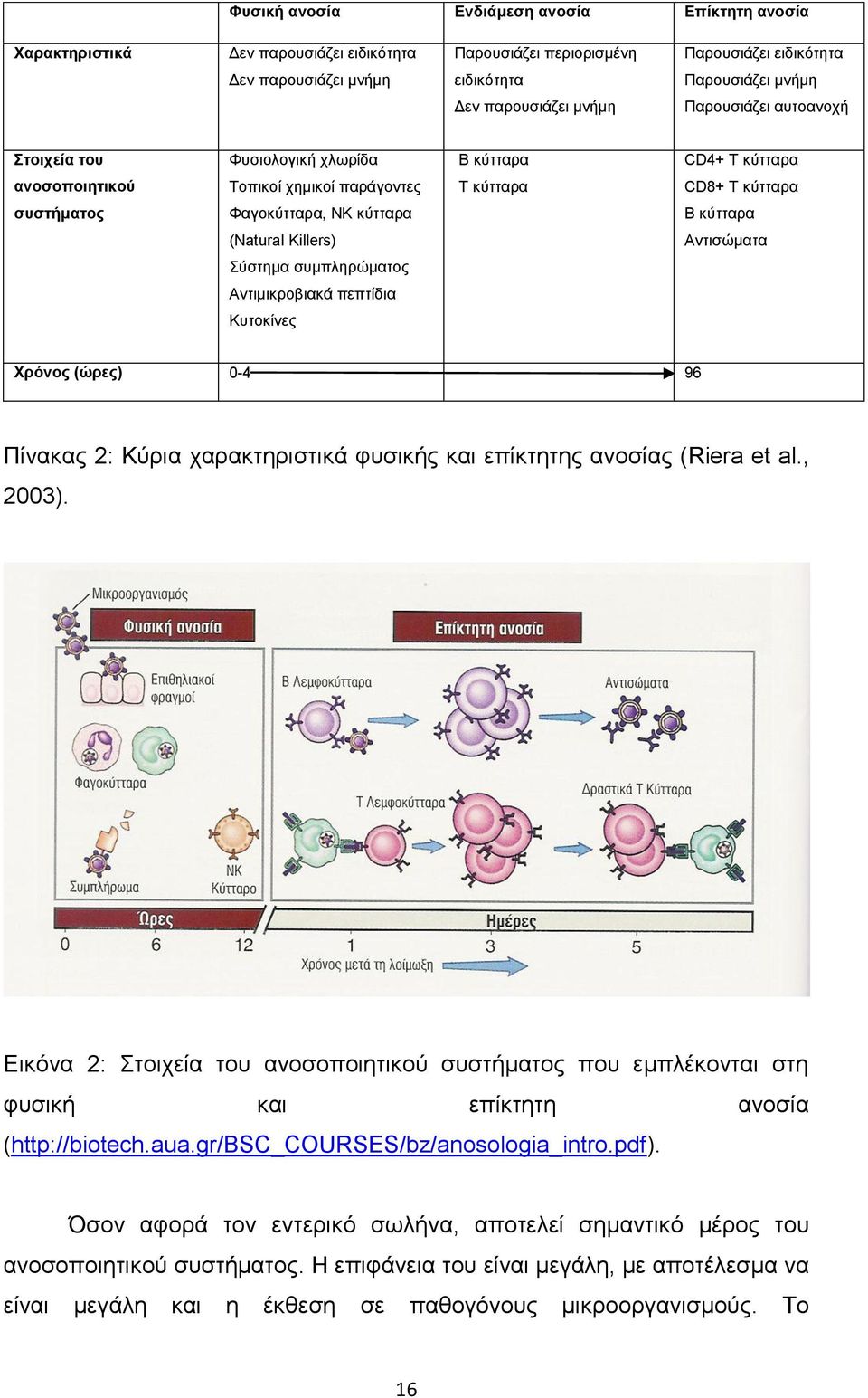 Β κύτταρα (Natural Killers) Αντισώματα Σύστημα συμπληρώματος Αντιμικροβιακά πεπτίδια Κυτοκίνες Χρόνος (ώρες) 0-4 96 Πίνακας 2: Κύρια χαρακτηριστικά φυσικής και επίκτητης ανοσίας (Riera et al., 2003).