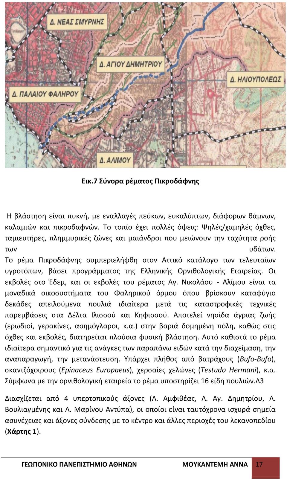 Το ρζμα Ρικροδάφνθσ ςυμπεριελιφκθ ςτον Αττικό κατάλογο των τελευταίων υγροτόπων, βάςει προγράμματοσ τθσ Ελλθνικισ Ορνικολογικισ Εταιρείασ. Οι εκβολζσ ςτο Ζδεμ, και οι εκβολζσ του ρζματοσ Αγ.