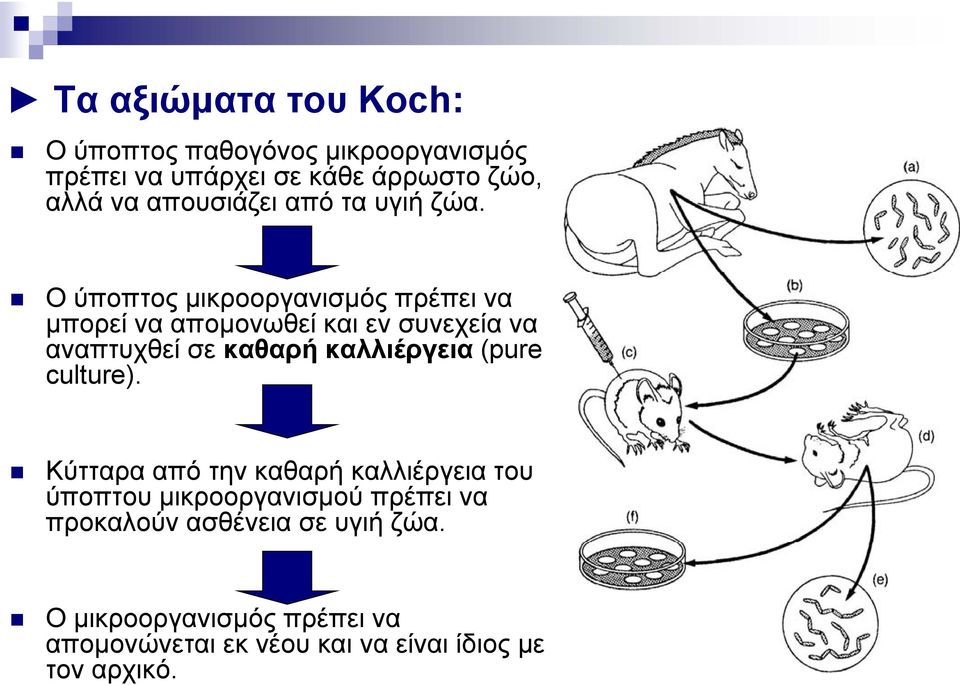 Ο ύποπτος μικροοργανισμός πρέπει να μπορεί να απομονωθεί και εν συνεχεία να αναπτυχθεί σε καθαρή καλλιέργεια (pure