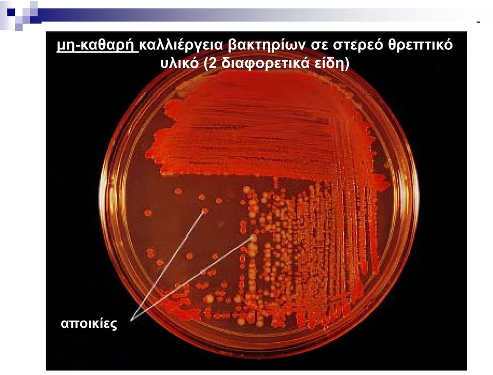 θρεπτικό υλικό (2